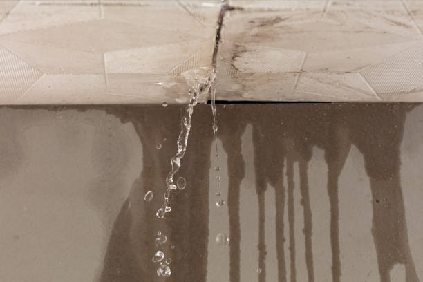Professional Sewage Cleanup technician working in Long Bottom, OH